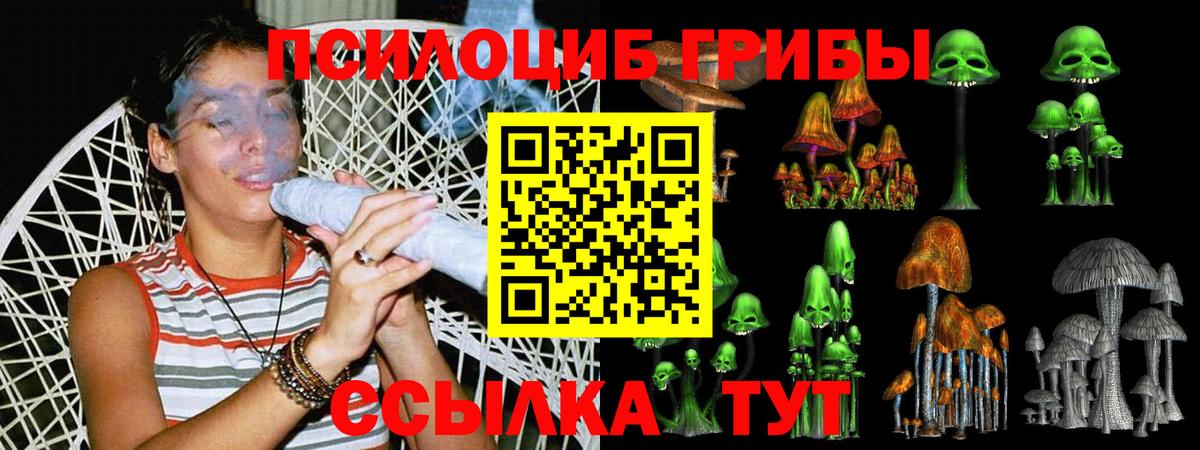 Амфетамин   Конопля  МЕФ кристаллы  Героин  Гашиш  Кушва  Метамфетамин  Вход с VPN  Кокаин 